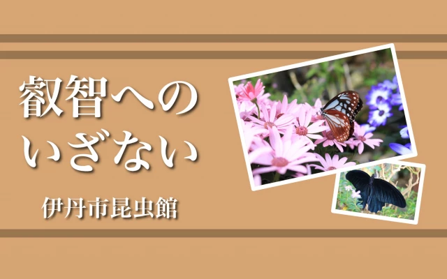 叡智へのいざない